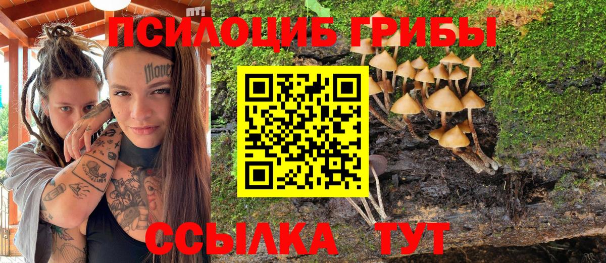 Ржев  Псилоцибиновые грибы мухоморы  Вход с VPN 