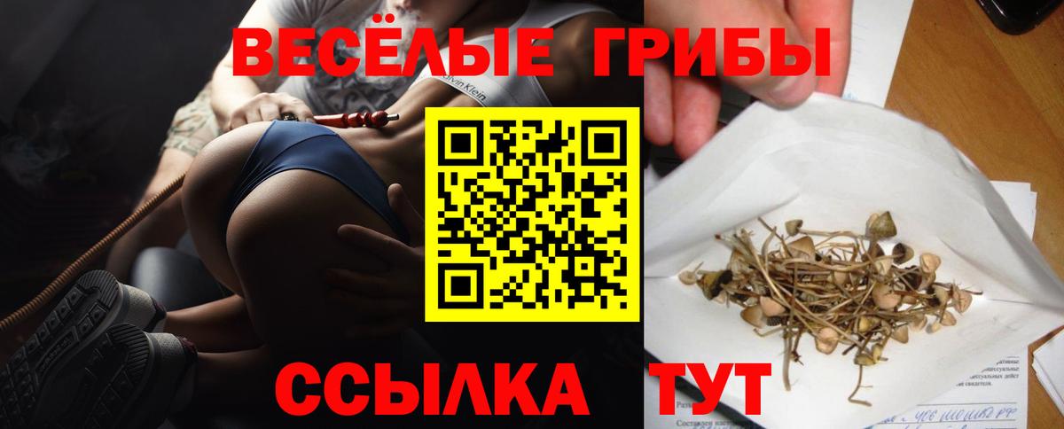 Галлюциногенные грибы MAGIC MUSHROOMS Ржев