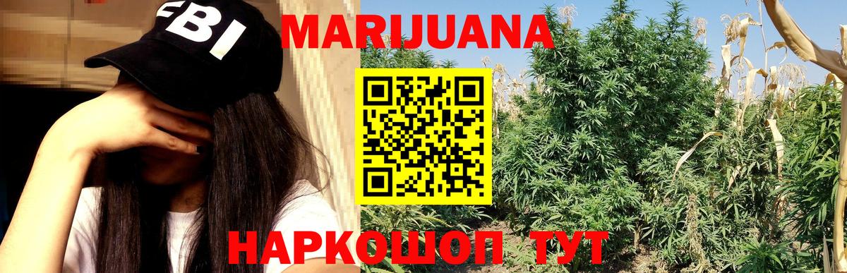 Конопля план  Марихуана семена  Канабис Bruce Banner  Ржев  Вход с VPN 